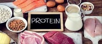 Experts Clash - Excessive Proteins harms our health.?